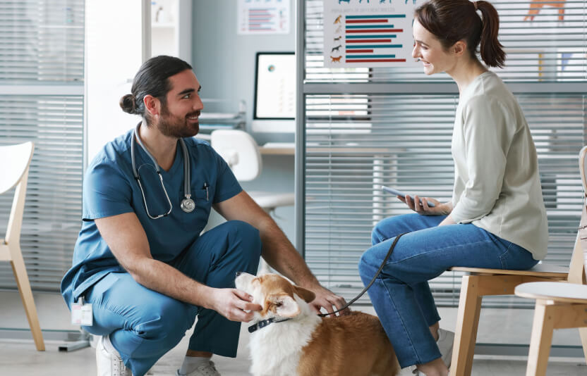 врач беседует с хозяином, собака сидит рядом 